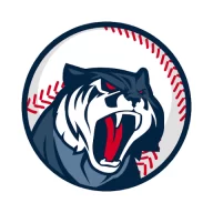 Astonishing Baseball Manager MOD APK (Unlimited Money)