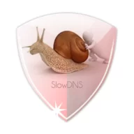 SlowDNS Premium MOD APK (Unlocked)